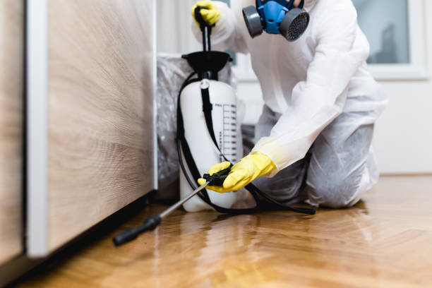 Best Emergency Pest Control  in Ceredo, WV