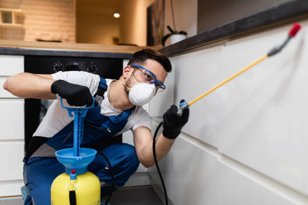 Best Local Pest Control Services  in Ceredo, WV
