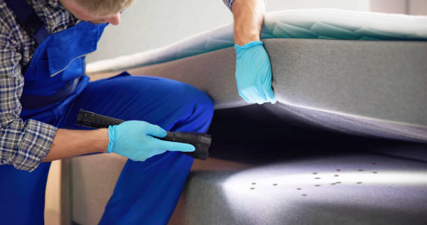 Best Mosquito Control Services  in Ceredo, WV